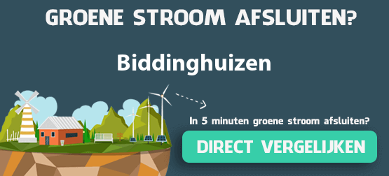 groene-stroom-biddinghuizen