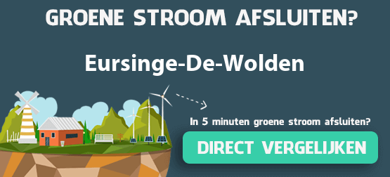 groene-stroom-eursinge-de-wolden