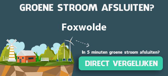 groene-stroom-foxwolde
